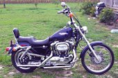 1999 Harley-Davidson Sportster 1200 Custom photo